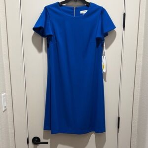 Calvin Klein Women's Royal Blue Mini Dress